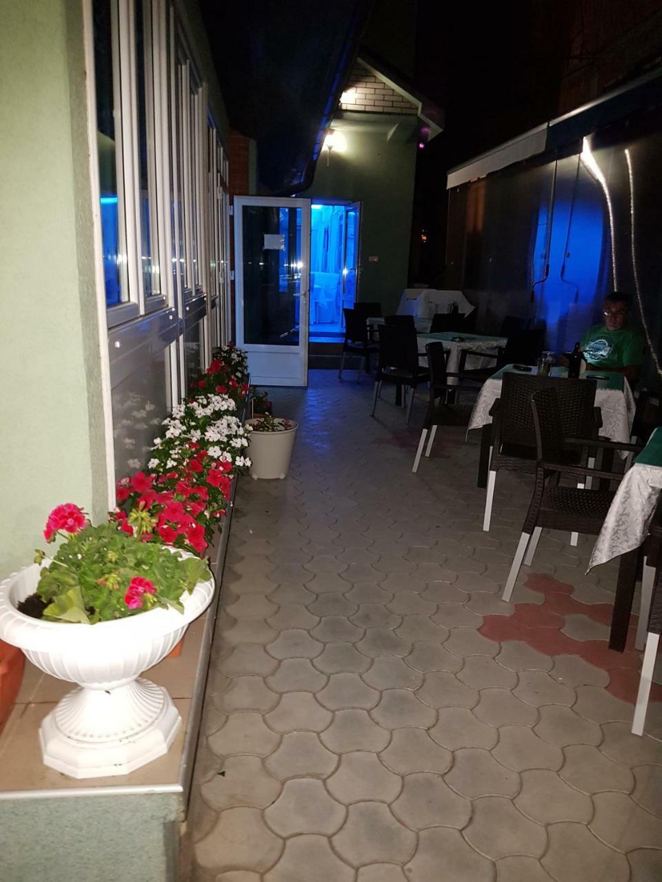 Golden Danube Bed & Breakfast Veliko Gradište Eksteriør bilde