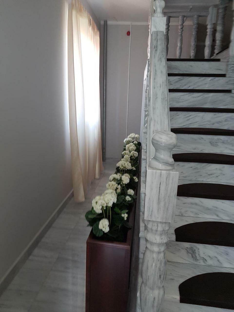 Golden Danube Bed & Breakfast Veliko Gradište Eksteriør bilde